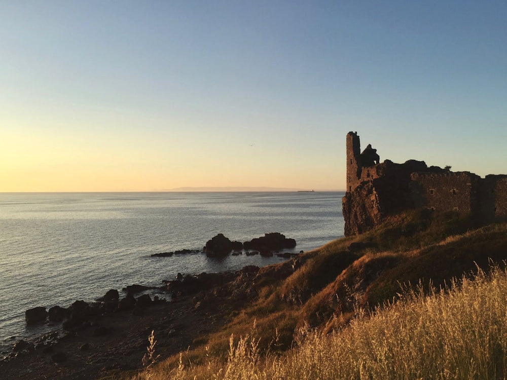 Love Ayrshire. Our new  special edition  collection.